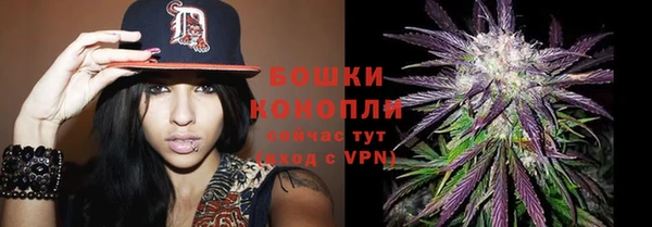 тгк Кулебаки