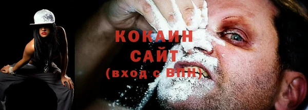 ГАЛЛЮЦИНОГЕННЫЕ ГРИБЫ Лабытнанги