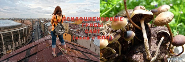 мефедрон Кукмор