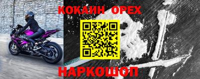 молекула духа Гагарин