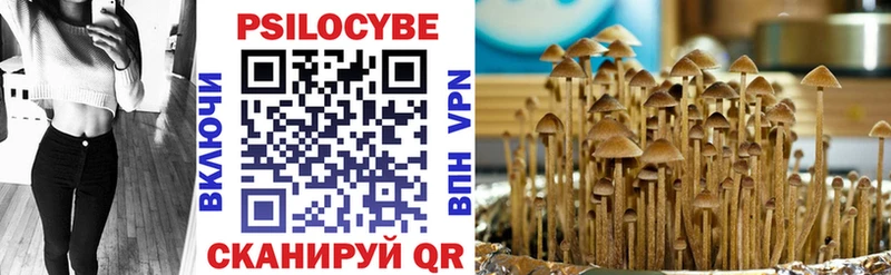 Галлюциногенные грибы мухоморы  Курчатов 