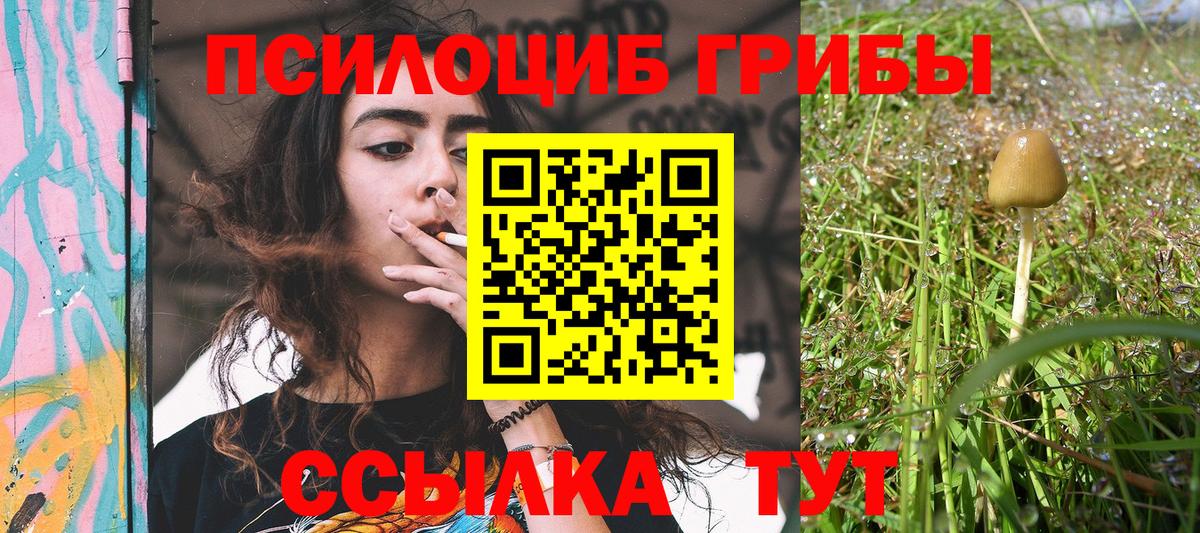 Псилоцибиновые грибы ЛСД Курчатов