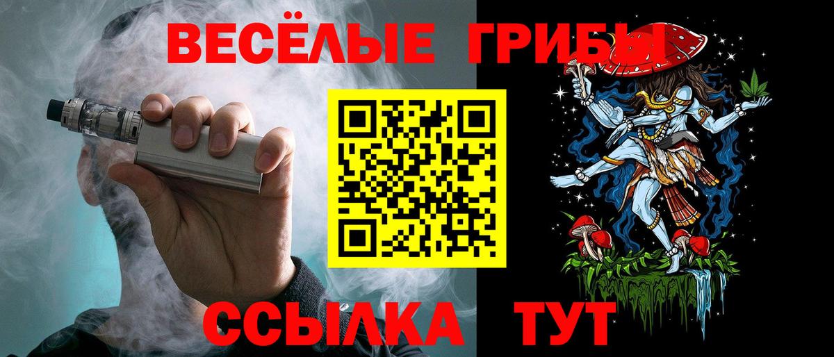 Галлюциногенные грибы мухоморы  магазин продажи   Вход с VPN  Курчатов  Псилоцибиновые грибы Cubensis 